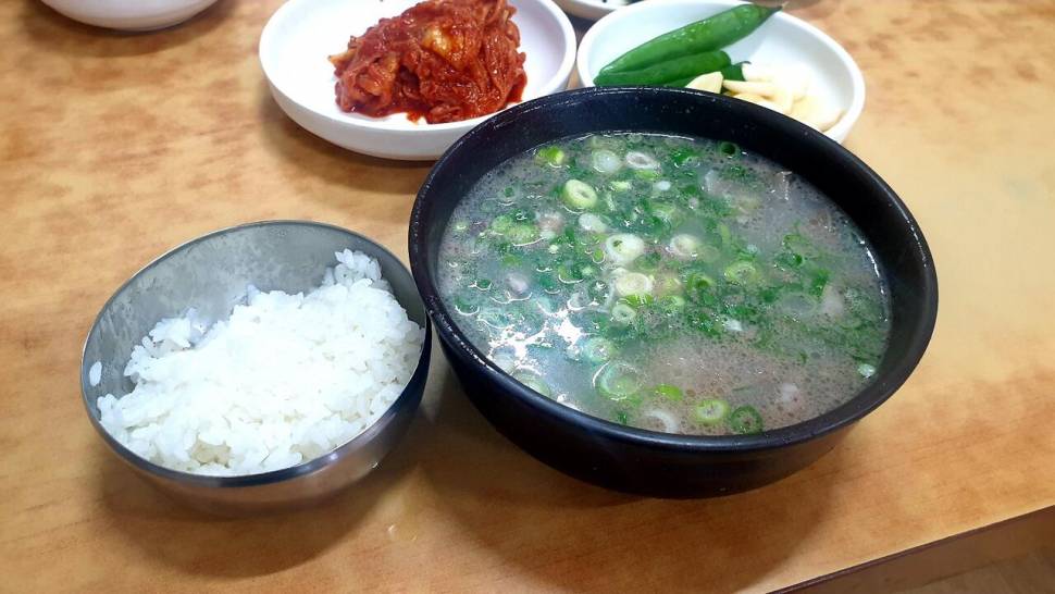 노지 조행기 시즌16화 금호강나드리 (조황조행기 - 화보조행기)