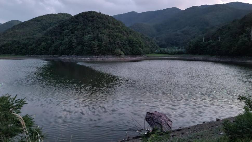 날씨가 덥다 (조황조행기 - 화보조행기)