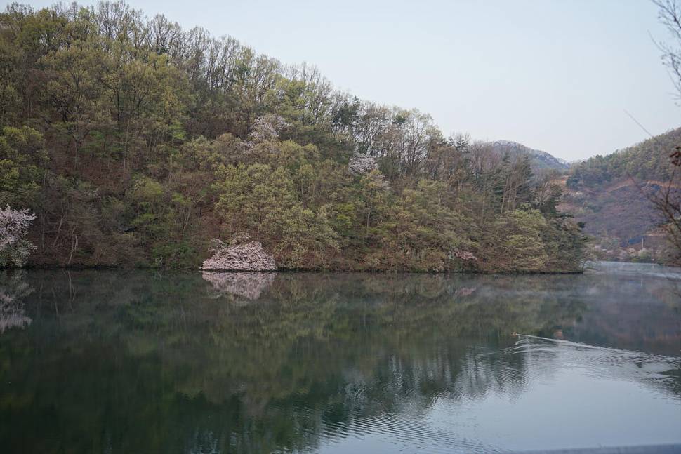 봄날 (조황조행기 - 화보조행기)