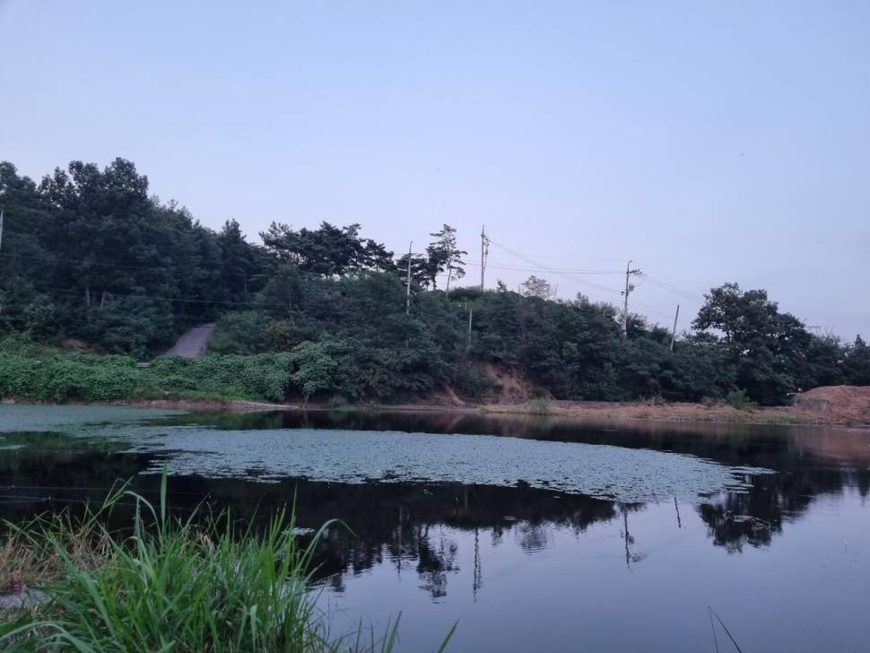 날씨를 보며 (조황조행기 - 화보조행기)