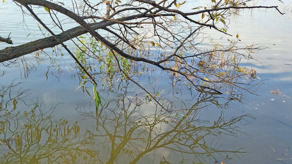 풍성한 겨울 붕어낚시 (조황조행기 - 화보조행기)