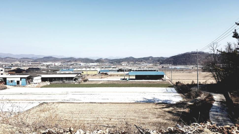 물빠진저수지 (조황조행기 - 화보조행기)