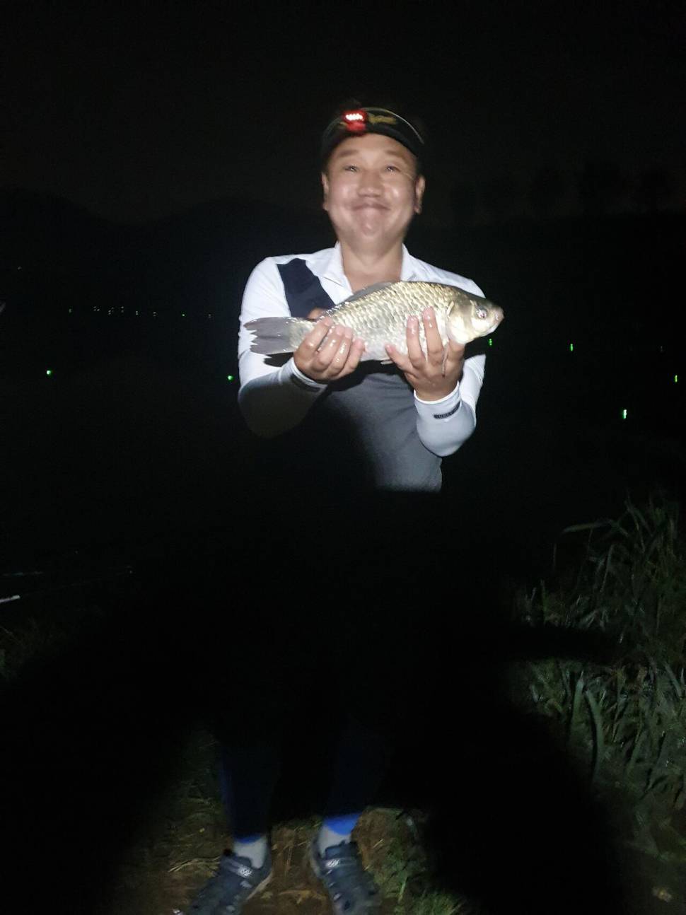 끝여름밤의 꿈을 찿아서 (조황조행기 - 화보조행기)