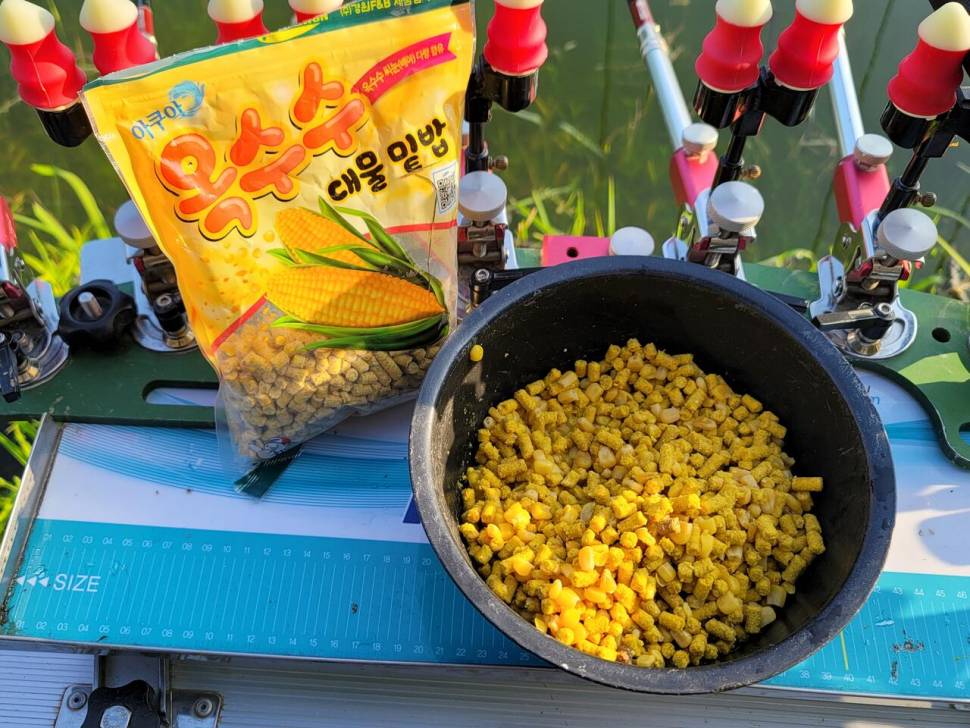 오랜만에 인사드립니다 (조황조행기 - 화보조행기)