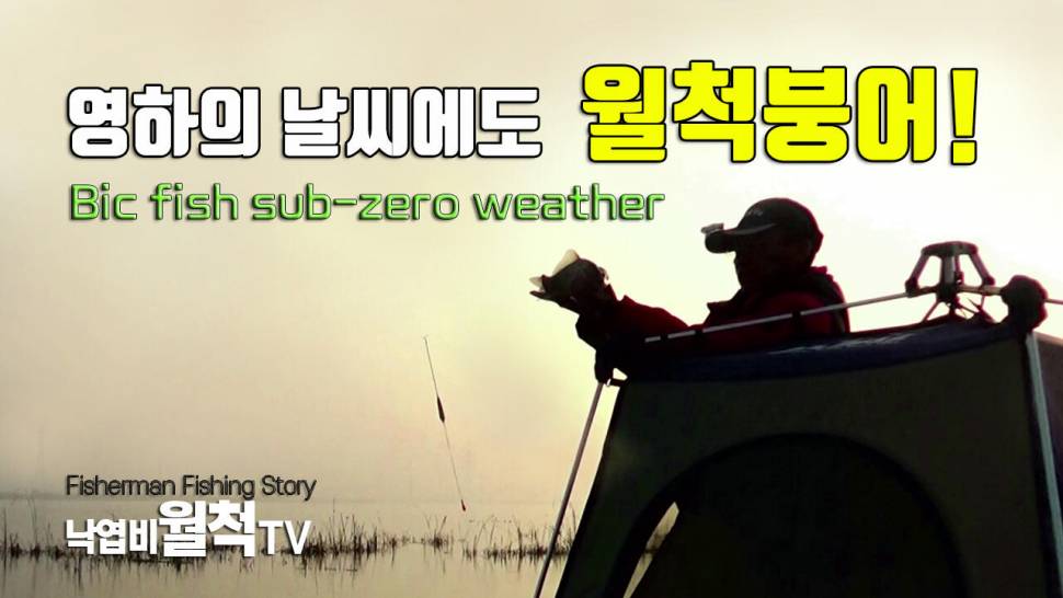 영하의 날씨에 월척 붕어 (조황조행기 - 화보조행기)