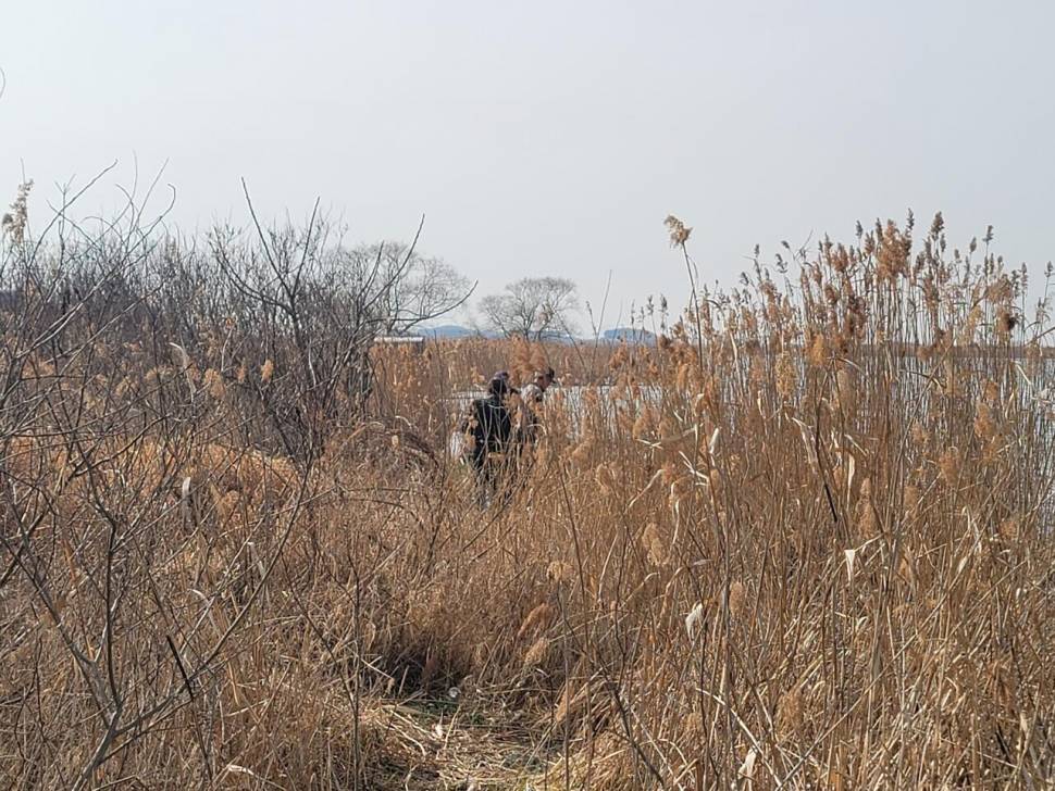 영암에 찾아온 봄 (조황조행기 - 화보조행기)