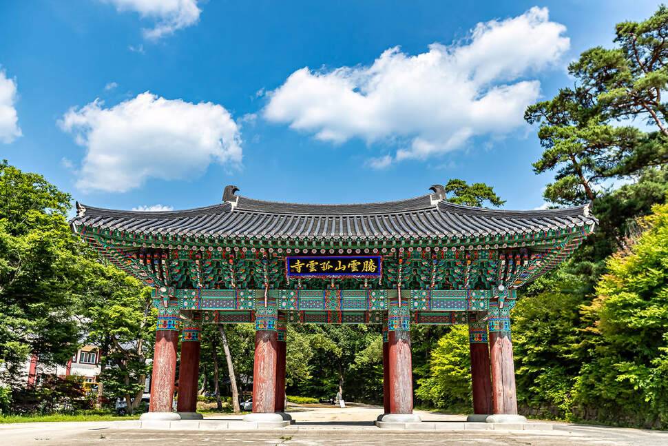 C씨의 낚시 여행 풍경이 있는 시간 (조황조행기 - 화보조행기)