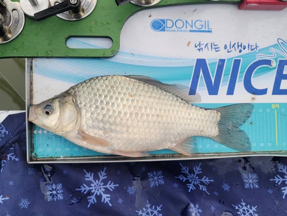 활성도 좋은 오후시간해남7주차 (조황조행기 - 화보조행기)