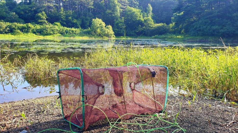 산속놀이터 (조황조행기 - 화보조행기)