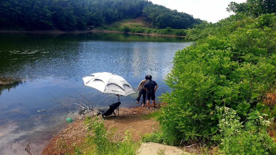 노지 조행기 시즌12화 여름에 시작6월 (조황조행기 - 화보조행기)