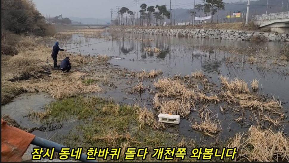 부들갈대 낮은수심 낚시 (조황조행기 - 화보조행기)