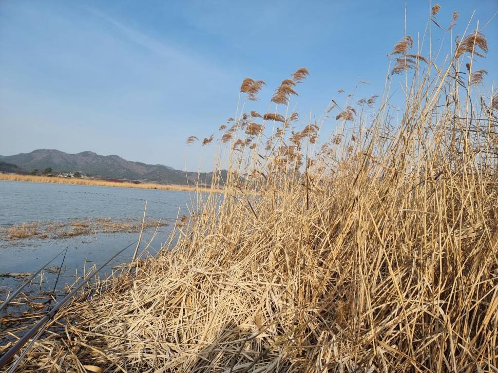 물결의 자연과의동행 (조황조행기 - 화보조행기)