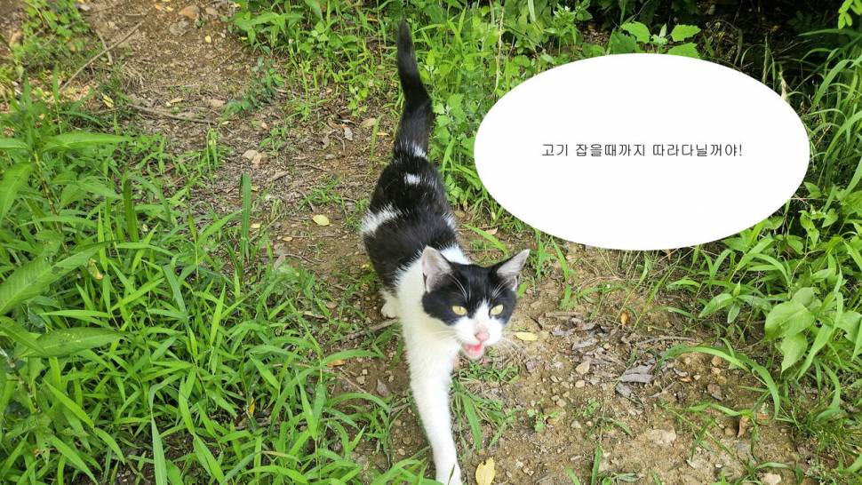 2025년 어신魚神 조우회의 6월 정기 출조폭염 (조황조행기 - 화보조행기)