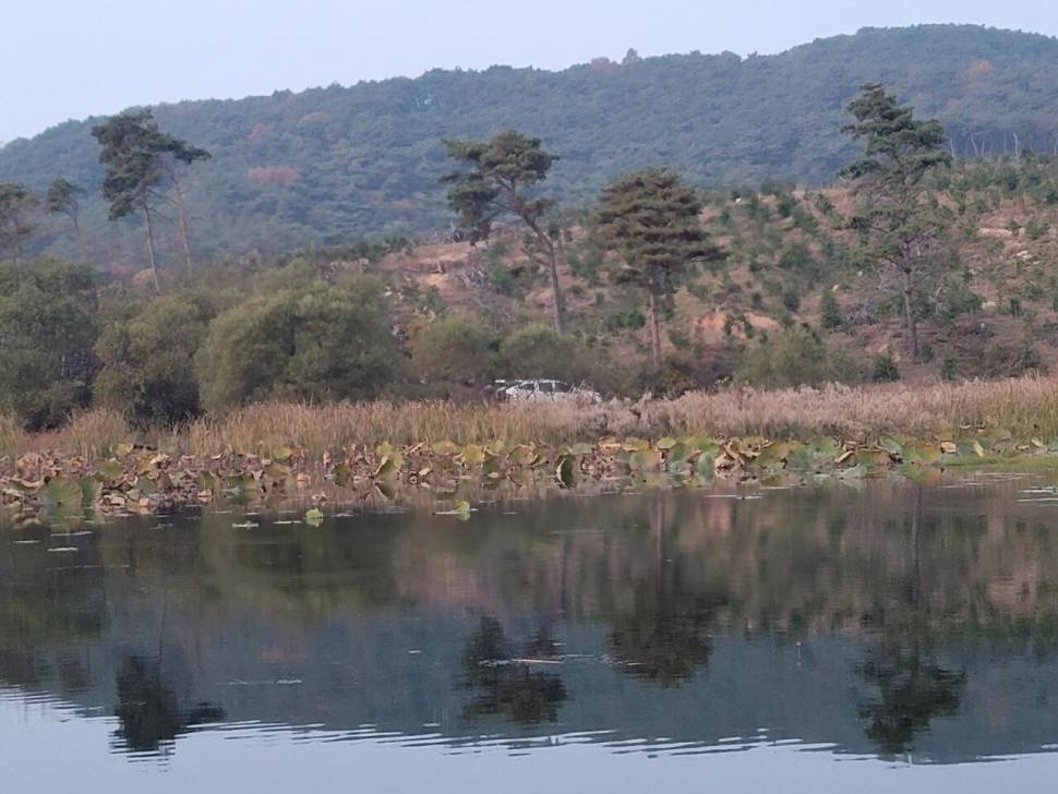 답사낚시 대성공개기월식이 보내준 붕어 (조황조행기 - 화보조행기)