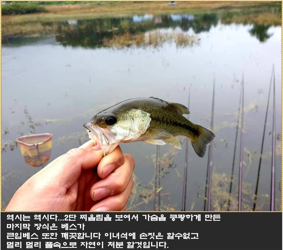 붕어에 낚이다 (조황조행기 - 화보조행기)