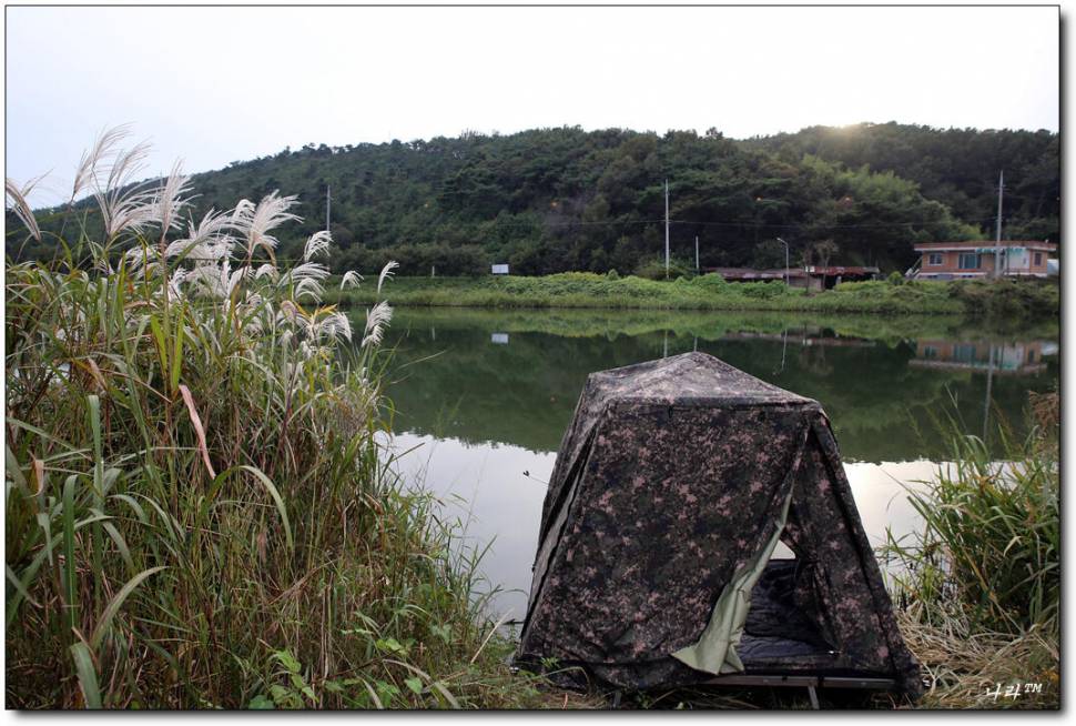 낚시로 여유찾기 시월의 시린 비 (조황조행기 - 화보조행기)