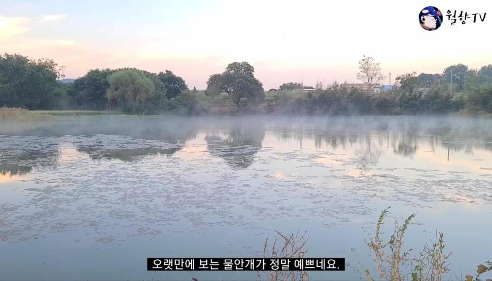 보고 싶었어 붕어야 논산 소류지 붕어 낚시 다녀 왔어요 (조황조행기 - 화보조행기)