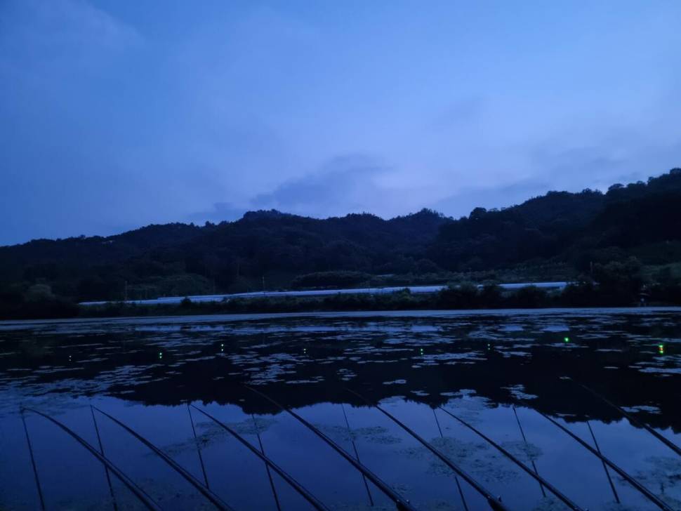 터센 오짜터 출조 (조황조행기 - 화보조행기)
