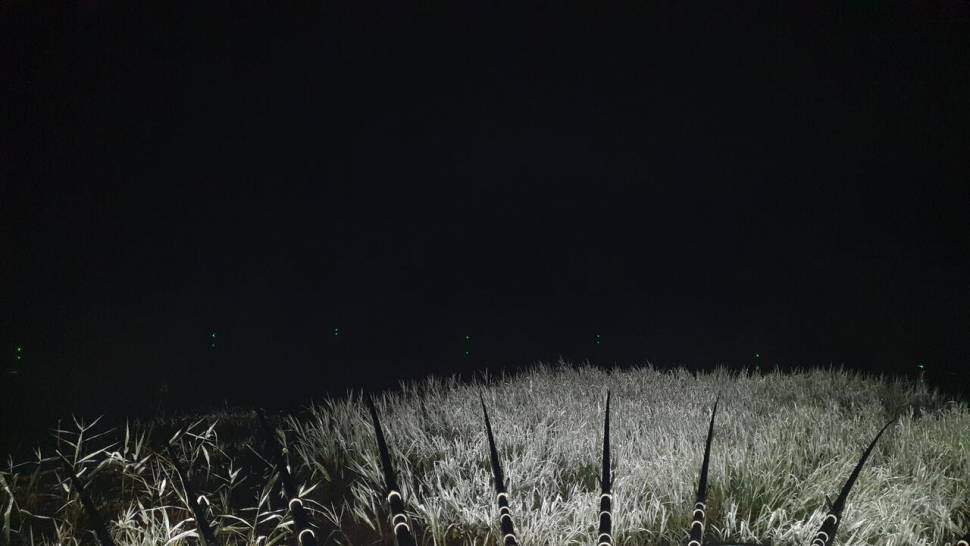 주말번개 (조황조행기 - 화보조행기)