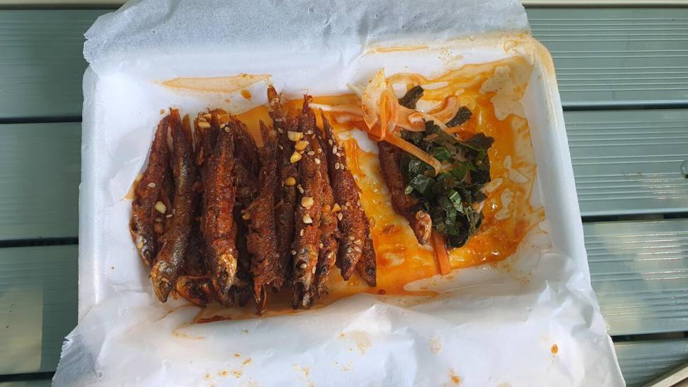 달빛아래 꾼 조행기 (조황조행기 - 화보조행기)