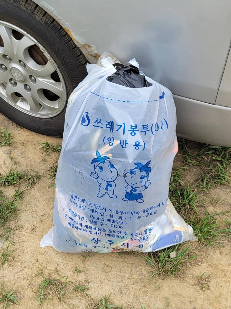 장마가 시작되기 전날 (조황조행기 - 화보조행기)