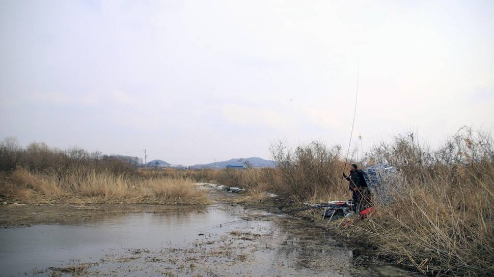 붕어낚시 시즌 시작 Carp fishing season begins (조황조행기 - 화보조행기)