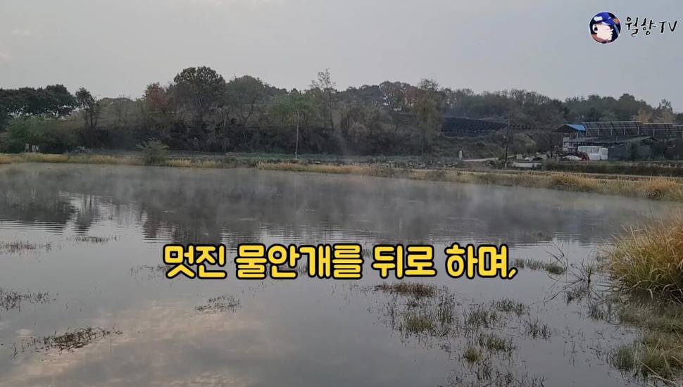 세종소류지 옥수수 새우에 마릿수 붕어 (조황조행기 - 화보조행기)