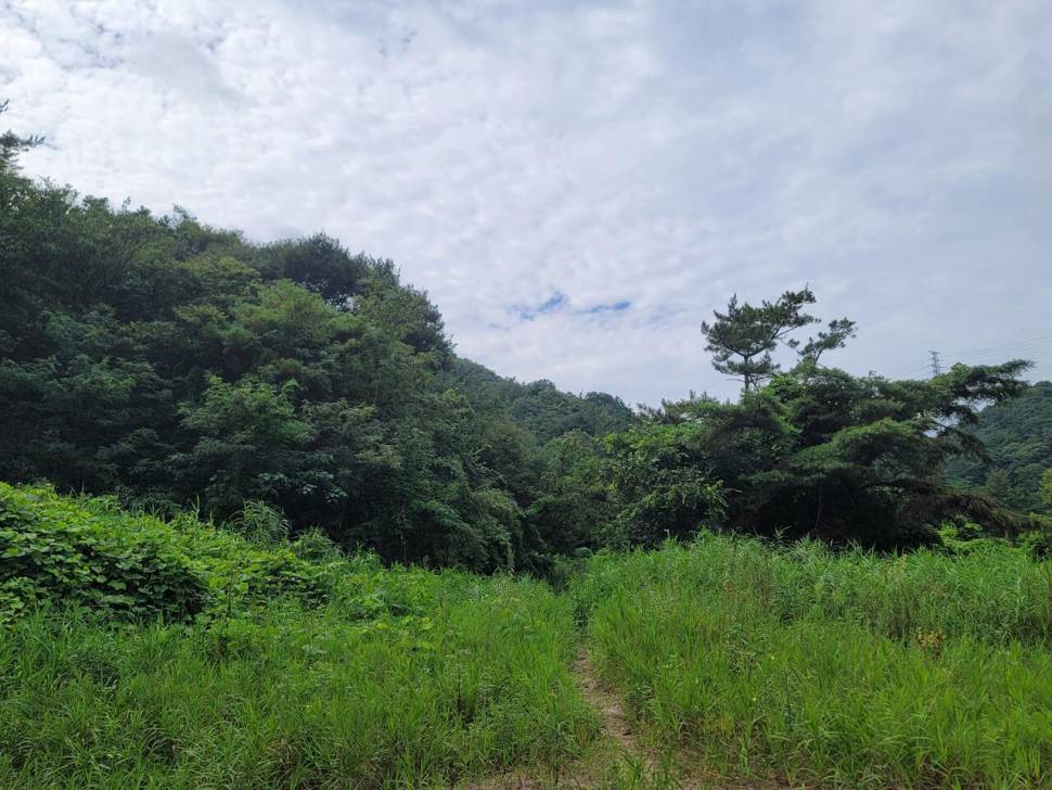 비밀의 정원 (조황조행기 - 화보조행기)