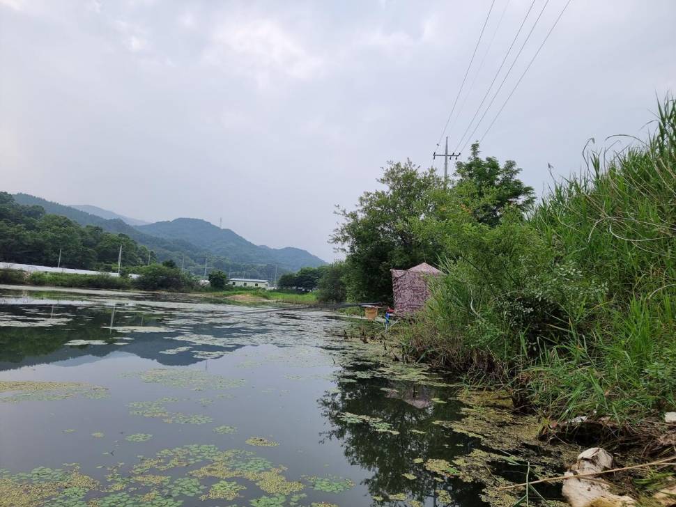 터센 오짜터 출조 (조황조행기 - 화보조행기)