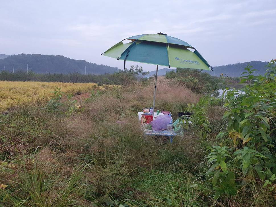 붕어는 언제든지 볼 수 있다 (조황조행기 - 화보조행기)