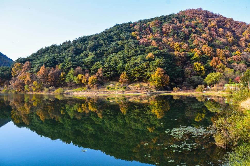공간의 낚시 조행기 (조황조행기 - 화보조행기)