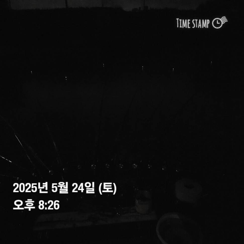 풍비의 주말 나들이 ♧☆ (조황조행기 - 화보조행기)