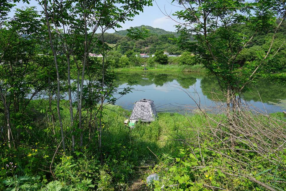 낚시금지반대 (조황조행기 - 화보조행기)
