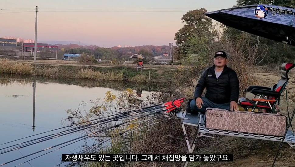 세종소류지 옥수수 새우에 마릿수 붕어 (조황조행기 - 화보조행기)