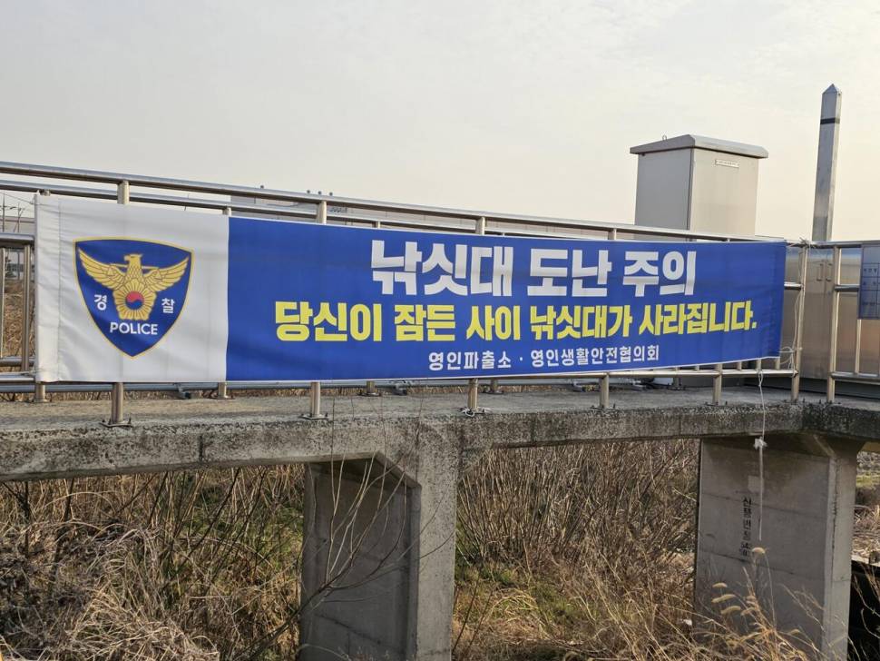 도도한붕어으 35번째 이자 추루라tv두번째 이야기 (조황조행기 - 화보조행기)