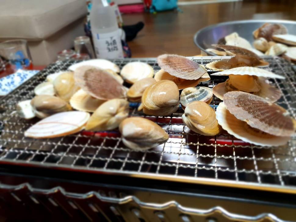미리다녀온 가을포인트 (조황조행기 - 화보조행기)