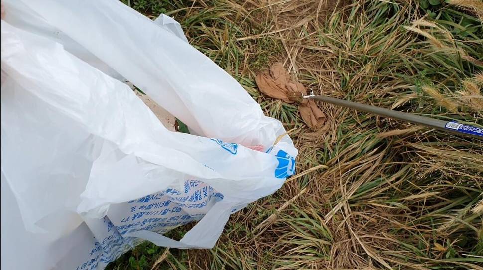 서울근교 토종터 (조황조행기 - 화보조행기)