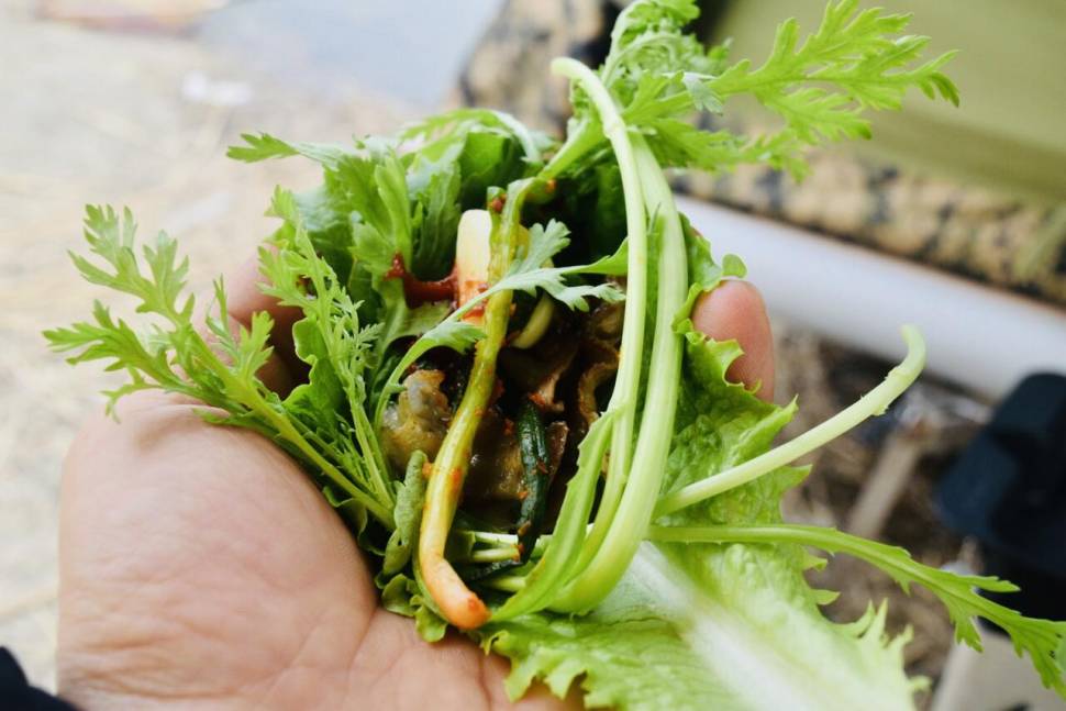 공간의 낚시 조행기 (조황조행기 - 화보조행기)