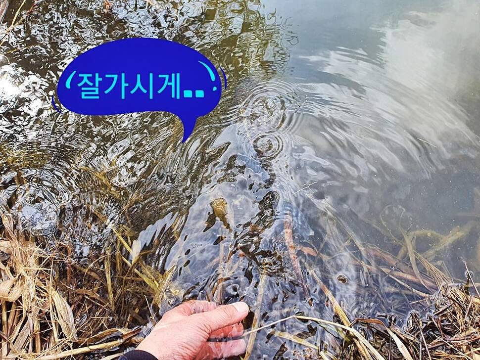 충주권 (조황조행기 - 화보조행기)