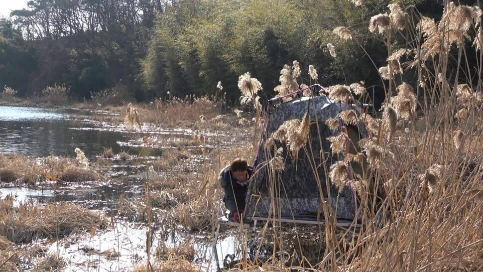 추운날씨 무모한 낚시여행보령 진죽지 (조황조행기 - 화보조행기)