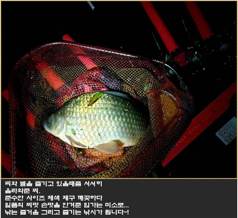 붕어에 낚이다 (조황조행기 - 화보조행기)
