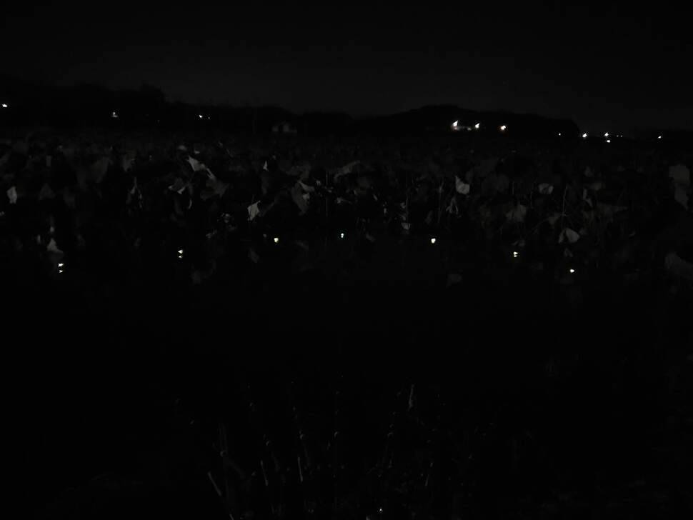 똘조우회 번개 나들이 (조황조행기 - 화보조행기)