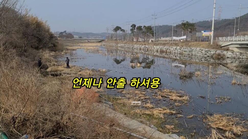 부들갈대 낮은수심 낚시 (조황조행기 - 화보조행기)