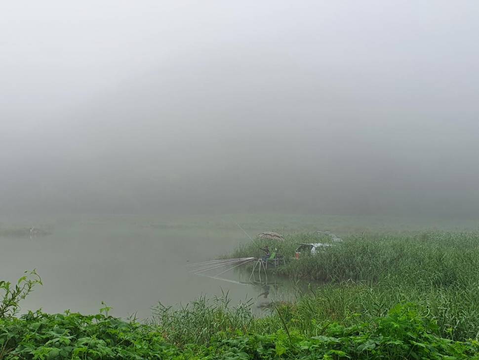 끝여름밤의 꿈을 찿아서 (조황조행기 - 화보조행기)