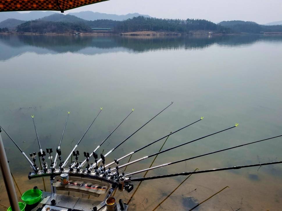 어신魚神 조우회의 3월달 정기 출조 잉어의 보은 (조황조행기 - 화보조행기)