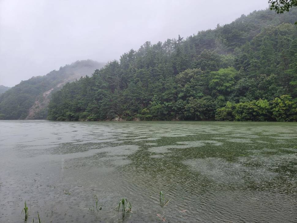 가을의 문턱에 찾은 산속 계곡지 (조황조행기 - 화보조행기)