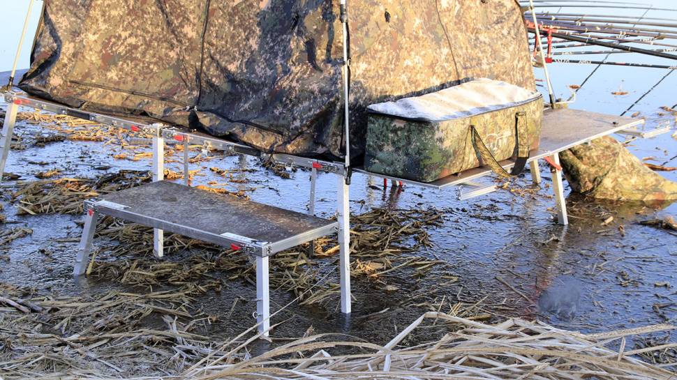 붕어낚시 시즌 시작 Carp fishing season begins (조황조행기 - 화보조행기)
