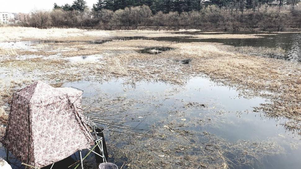 말뚝 찌를 바라보며 (조황조행기 - 화보조행기)