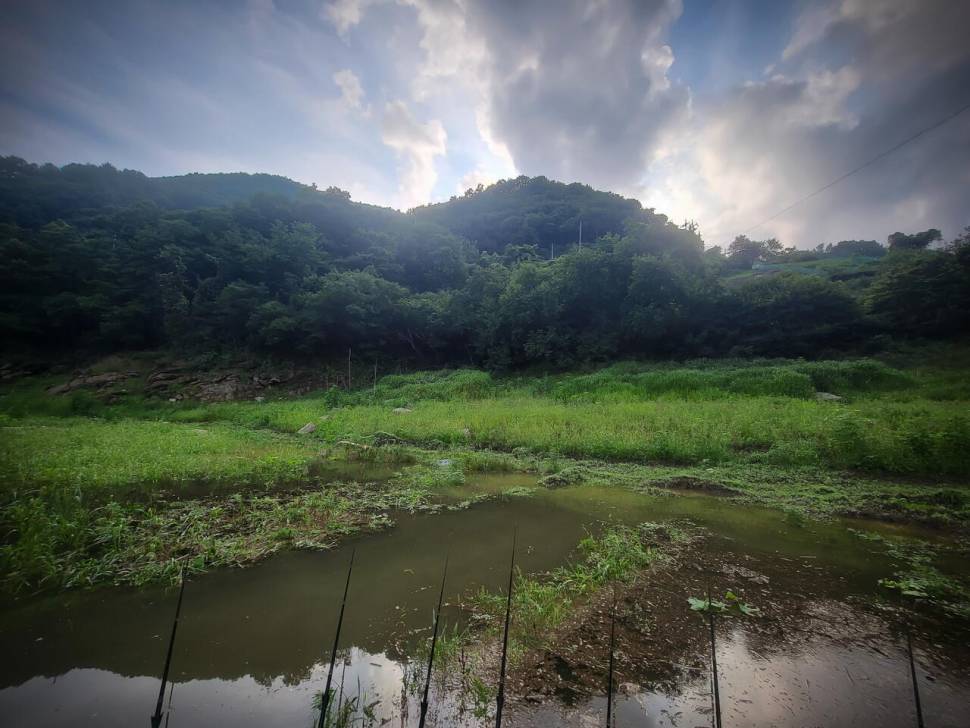 충주 사오리 오름수위 (조황조행기 - 화보조행기)