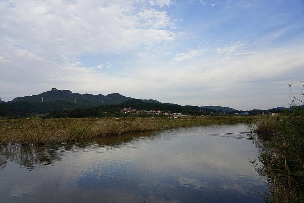 저수지 친구 주말엔 낚시지 (조황조행기 - 화보조행기)